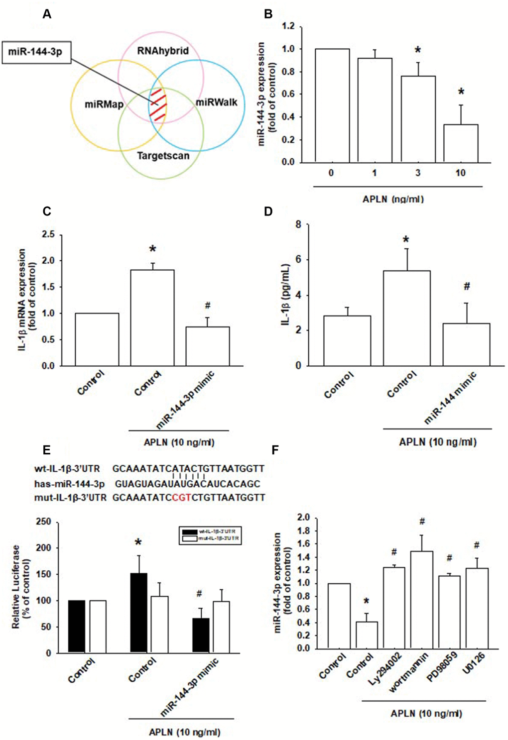 APLN-induced suppression of miRNA-144-3p enhances IL-1β production. (A) Open-source software (TargetScan, miRMap, RNAhybrid, and miRWalk) was used to identify which miRNAs could possibly interfere with IL-1β transcription. (B) OASFs were incubated with APLN (0, 1, 3, and 10 ng/mL). Levels of miR-144-3p expression were examined by RT-qPCR assay (n=4). (C, D) OASFs were transfected with miR-144-3p mimic and then stimulated with APLN (10 ng/mL). mRNA and excreted protein levels were examined by RT-qPCR (n=4) and ELISA assays (n=5). (E) OASFs were transfected with the mut-IL-1β-3′UTR plasmid with or without miRNA-144-3p mimic, then stimulated with APLN (10 ng/mL). Relative luciferase activity reflected IL-1β promoter activity (n=6). (F) OASFs were treated with PI3K or ERK inhibitor then incubated with APLN. miR-144-3p expression levels were examined by RT-qPCR assay (n=4). Results are expressed as the mean ± S.E.M. * pp