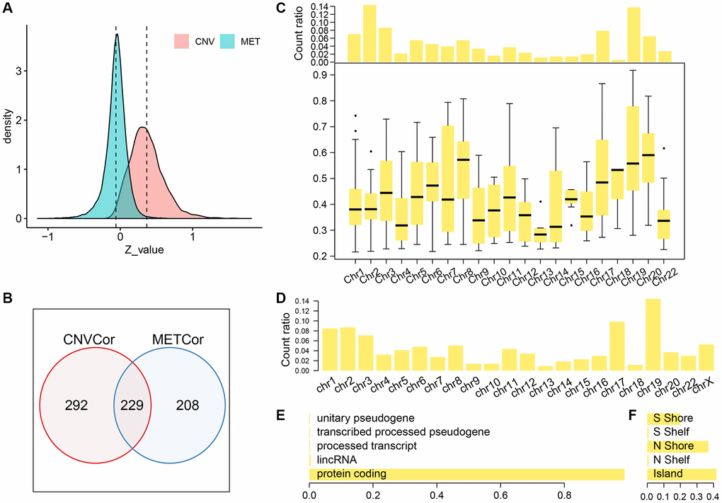 Profiles of CNV-G and MET-G features. (A) z-value distribution of CNV-G and MET-G. (B) The overlap between CNV-G and MET-G. (C) Chromosome distribution (top panel) and correlation (bottom panel) of CNV-G. (D) Chromosome distribution of MET-G. (E) MET-G gene type. (F) The proportion of MET sites.