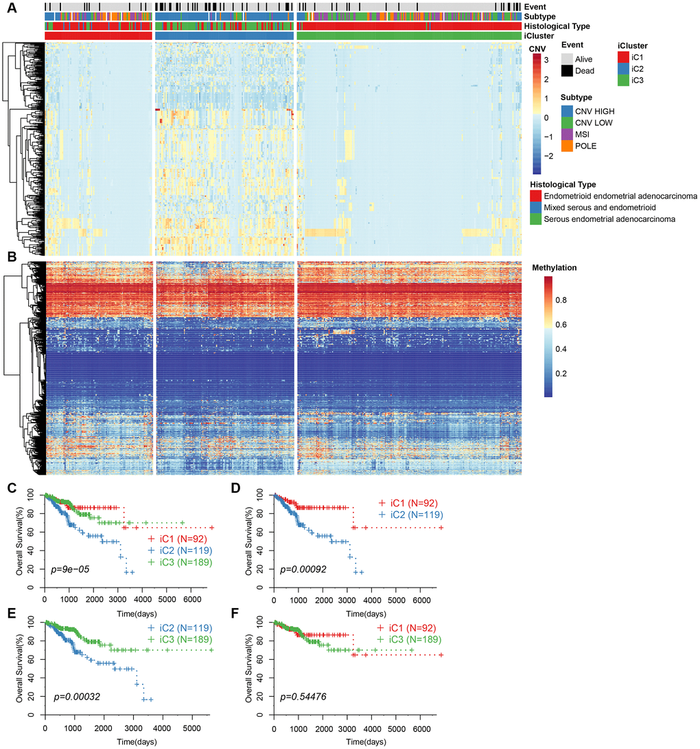 (A) CNV levels of subtype CNV-G identified by iCluster. (B) Methylation levels of MET-G subtype identified by iCluster. (C) KM curve for the subtypes identified by iCluster. (D) KM curve for iC1 and iC2 subtypes. (E) KM curve for iC2 and iC3 subtypes. (F) KM curve for the iC1 and iC3 subtypes.