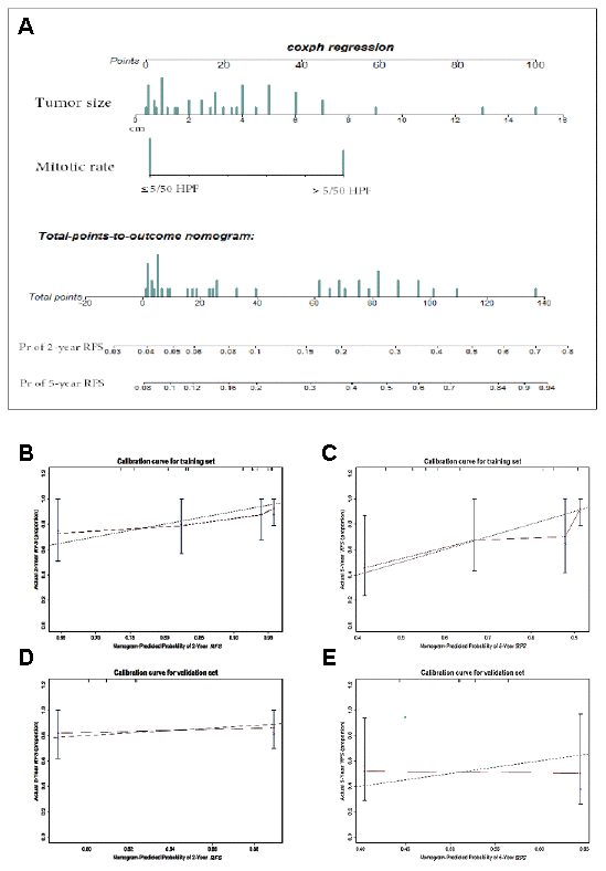 Nomogram and validation to predict the probabilities of 2-year and 5-year recurrence-free survival. To use the nomogram (A), an individual patient’s value is located on each variable axis, and a line is drawn upward to determine the number of points received for each variable value. The sum of these points is located on the Total points axis, and a line is drawn downward to the survival axes to determine the likelihood of 2- or 5-year RFS. Tumor size(cm), mitotic rate (≤5 or >5 mitoses per 50 HPFs). The calibration curve for predicting patient survival at (B) 2 years and (C) 5 years in the training set and at (D) 2 years and (E) 5 years in the validation set. Nomogram-predicted probability of RFS is plotted on the x-axis; actual RFS is plotted on the y-axis.