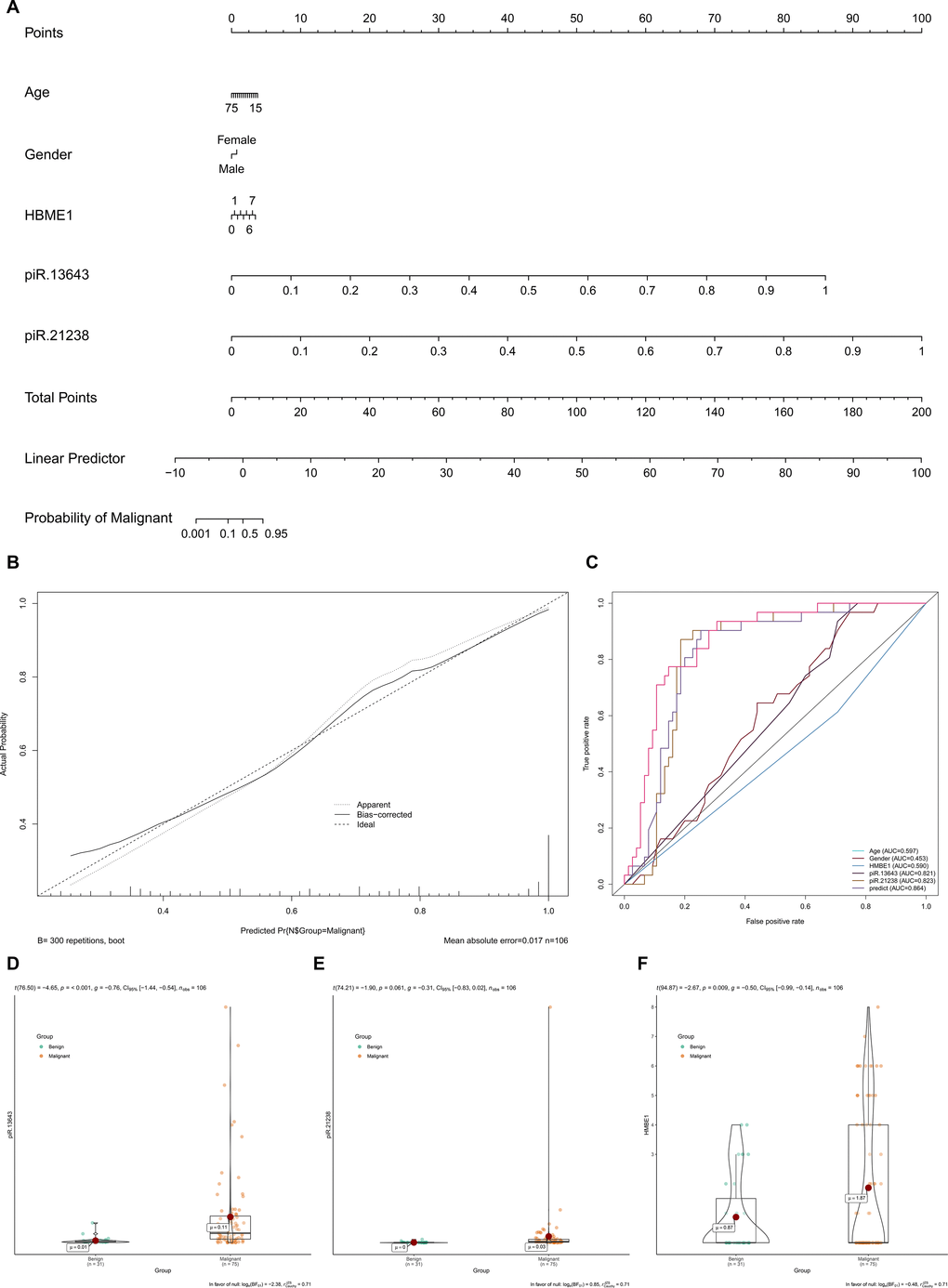 The expression levels of key piRNAs were corrected by demographic data to construct a multivariate model to distinguish malignant nodules from benign. (A) Nomogram based on multivariate model (A). The calibration curve and ROC curves suggested acceptable calibration (B) and discrimination (C) of the nomogram, respectively. Additionally, piR-13643 (P D–F).