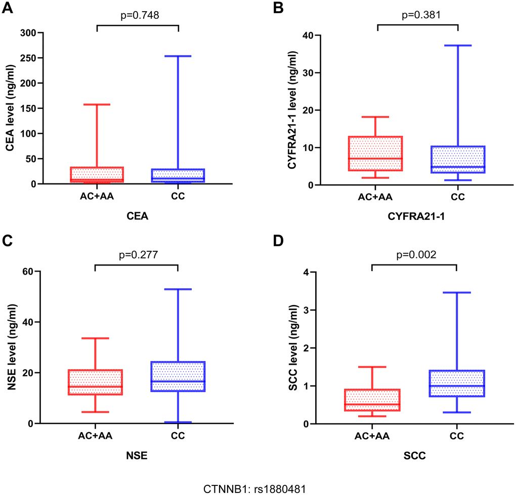 The relationship between serum tumor markers in patients with NSCLC bone metastases and different genotypes of CTNNB1: rs1880481. The serum tumor markers contained (A) carcinoembryonic antigen (CEA), (B) cytokeratin fragment 19 (CYFRA21-1), (C) neuron-specific enolase (NSE), and (D) squamous cell carcinoma (SCC) antigen.