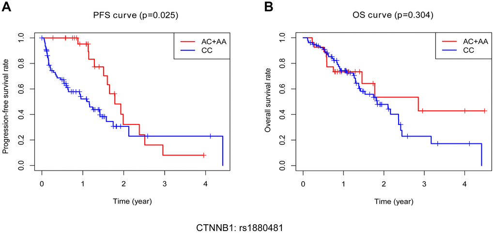 Kaplan-Meier analysis of progression free survival (PFS) and overall survival (OS) of bone metastasis patients with different genotypes of CTNNB1: rs1880481. (A) PFS of patients with different genotypes. (B) OS of patients with different genotypes.