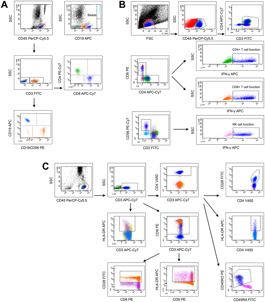 The analysis templates of flow cytometry for lymphocyte number (A), function (B), and phenotype (C).