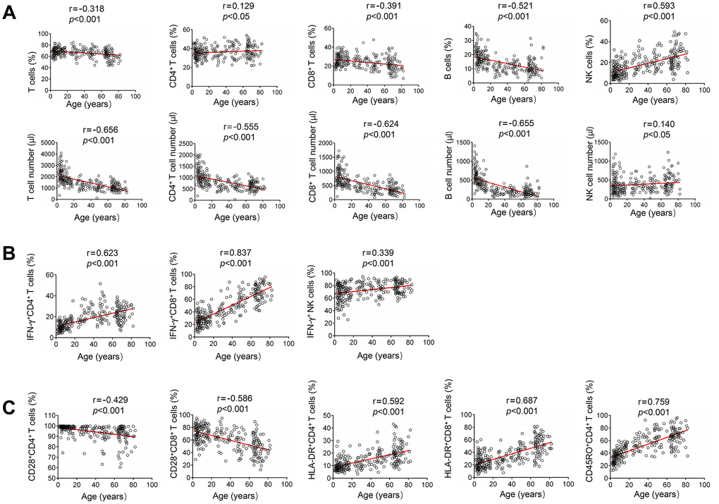 Correlation analysis between different lymphocyte parameters and age. (A) Heparinized peripheral blood was collected from study participants. The percentages and absolute numbers of CD4+ T cells, CD8+ T cells, B cells and NK cells were determined by flow cytometry. Correlation between lymphocyte count (including percentage and absolute number) and age. (B) PMA/ionomycin-stimulated lymphocyte function assay was performed in study participants. Correlation between lymphocyte function (including CD4+ T cells, CD8+ T cells, and NK cells) and age. (C) The expression of phenotype markers CD28, HLA-DR, and CD45RO on CD4+ and CD8+ T cells was analyzed by flow cytometry. Correlation between these phenotype markers and age. Each symbol represents an individual donor.