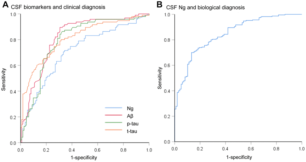 Receiver operating characteristic curves for the diagnostic utility of CSF biomarkers. (A) Receiver operating characteristic curves for the diagnostic utility of CSF biomarkers in differentiating AD from controls by clinical diagnosis (AD versus CN). The diagnostic accuracy (area under the receiver operating characteristic curve [AUC]) of CSF Ng in differentiating patients with AD from controls was comparable to that of the core CSF biomarkers. (B) Receiver operating characteristic curves for the diagnostic utility of CSF Ng in differentiating AD from controls by biological status (A+T+ versus A-T-). Abbreviations: CSF: cerebrospinal fluid; Ng, neurogranin; Aβ, amyloid-β; p-tau, phosphorylated tau; t-tau, total tau.