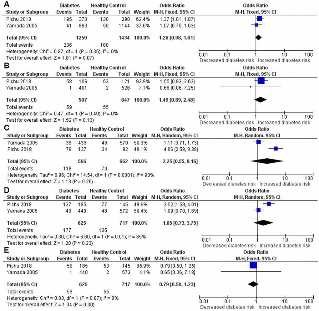 Forest plot of the meta-analysis for association between the HIF1A Ala588Thr genetic polymorphism and diabetes risk under the allelic (A), homozygous (B), heterozygous (C), dominant (D) and recessive (E) genetic model.