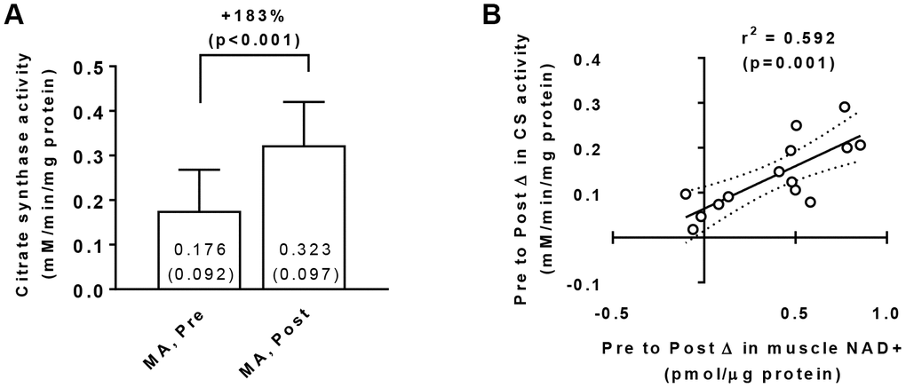 Vastus lateralis muscle tissue citrate synthase activity levels in middle-aged (MA) participants prior to (Pre) and following 10 weeks of resistance training (Post) (A), as well as associations between the Pre-to-Post changes in this variable and muscle NAD+ concentrations (B). Data in panel (A) are presented as means±SD values. Data in panel (B) are presented as individual data points where the regression line is solid and 95% confidence interval bands are dashed. Only 15/16 middle-aged participants were assayed for citrate synthase activity levels at Pre and Post due to tissue limitations for one participant.