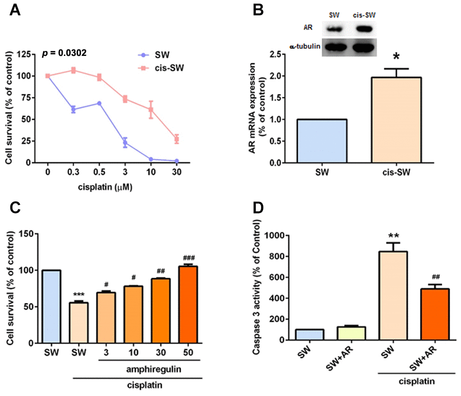 Amphiregulin is involved in cisplatin resistance in human chondrosarcoma cells. (A) SW (SW1353) and cis-SW (cisplatin-resistant) cells were treated with different concentrations of cisplatin for 24 h and cell viability was analyzed using the MTT assay. (B) Intracellular AR levels in whole cell lysates were analyzed by Western blot and qPCR assays. (C) Chondrosarcoma cells were incubated with various concentrations of AR for 24 h. Cell viability was examined by MTT assay. (D) Chondrosarcoma cells were treated with cisplatin (1 μM) for 24 h and cell apoptosis was studied according to levels of caspase-3 activity. The results were obtained from 3 independent experiments and are expressed as the mean ± SEM. * p p p #p ##p ###p 