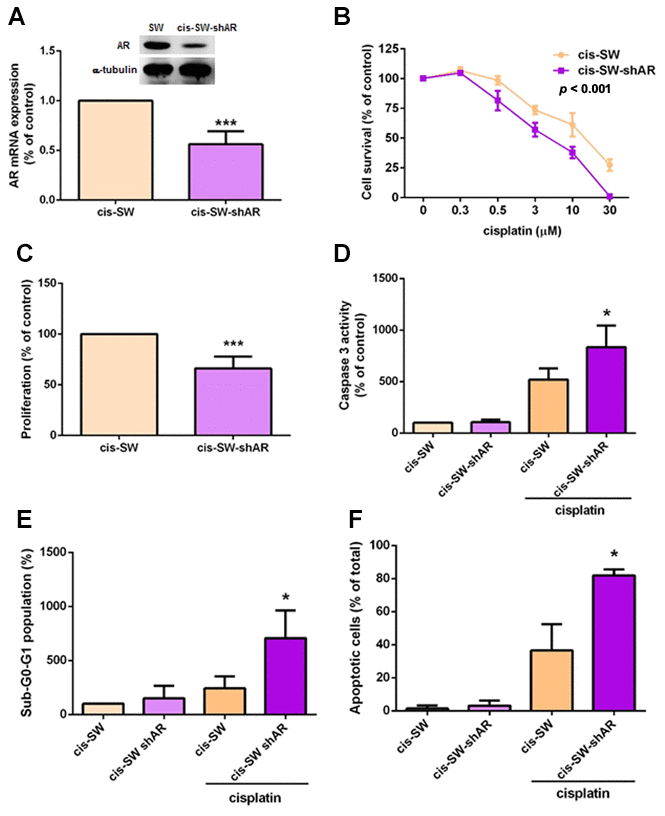 Knockdown of amphiregulin expression suppresses cisplatin resistance in human chondrosarcoma cells. (A) Intracellular AR levels in whole cell lysates were analyzed by Western blot and qPCR assays. (B) Chondrosarcoma cells were treated with different concentrations of cisplatin for 24 h and cell viability was analyzed using the MTT assay. (C) Cell proliferation rates were determined by the MTT assay. (D–F) Chondrosarcoma cells were treated with cisplatin (10 μM) for 24 h and cell apoptosis was examined by caspase-3 activity (D), PI staining (E), and Annexin V-FITC binding. (F) The results were obtained from 3 independent experiments and are expressed as the mean ± SEM. * p p p 