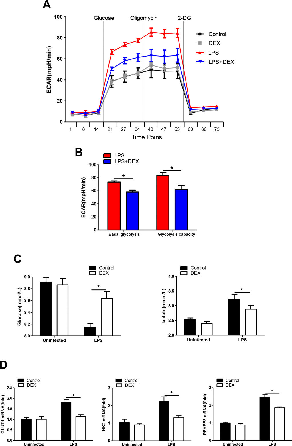 DEX inhibits glycolysis in LPS-treated macrophages. (A and B) BMDMs were seeded in Seahorse XFe96 cell culture microplates and treated with 100 ng/ml LPS and 1 μM DEX for 4 h. The real-time ECAR was recorded, and basal glycolysis and glycolytic capacity values were plotted. n = 5; mean ± SEM; * P C) BMDMs were treated with 100 ng/ml LPS and 1 μM DEX for 4 h. Supernatants were collected, and the levels of glucose and lactate were measured. n = 3; mean ±SEM; * P D) BMDMs were treated with 100 ng/ml LPS and 1 μM DEX for 4 h. The mRNA levels of GLUT1, HK2 and PFKFB3 were determined by RT-PCR. n = 3; mean ± SEM; * P 