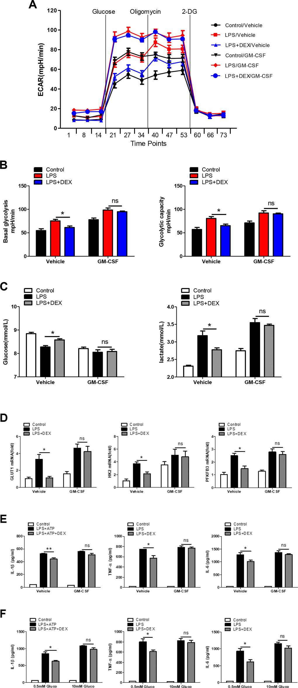 Enhancement of glycolysis reverses the anti-inflammatory effect of DEX on LPS-treated macrophages. (A and B) BMDMs were seeded in Seahorse XFe96 cell culture microplates and treated with 25 ng/ml GM-CSF for 24 h before being treated with 100 ng/ml LPS and 1 μM DEX for 4 h. The real-time ECAR was recorded, and basal glycolysis and glycolytic capacity values were plotted. n = 5; mean ± SEM; * P C) BMDMs were treated with 25 ng/ml GM-CSF for 24 h before being treated with 100 ng/ml LPS and 1 μM DEX for 4 h. Supernatants were collected, and the levels of glucose and lactate were measured. n = 3; mean ±SEM; * P D) BMDMs were treated with 25 ng/ml GM-CSF for 24 h before being treated with 100 ng/ml LPS and 1 μM DEX for 4 h. The mRNA levels of GLUT1, HK2 and PFKFB3 were determined by RT-PCR. n = 3; mean ± SEM; * P E) BMDMs were treated with 25 ng/ml GM-CSF for 24 h before being treated with 100 ng/ml LPS and/or 5 mM ATP and 1 μM DEX for 4 h. Levels of IL-1β, TNF-α and IL-6 were measured by ELISA. n = 3; mean ± SEM; * P P F) BMDMs were treated with 0.5mM or 10mM glucose before being treated with 100 ng/ml LPS and/or 5 mM ATP and 1 μM DEX for 4 h. Levels of IL-1β, TNF-α and IL-6 were measured by ELISA. n = 3; mean ± SEM; * P 