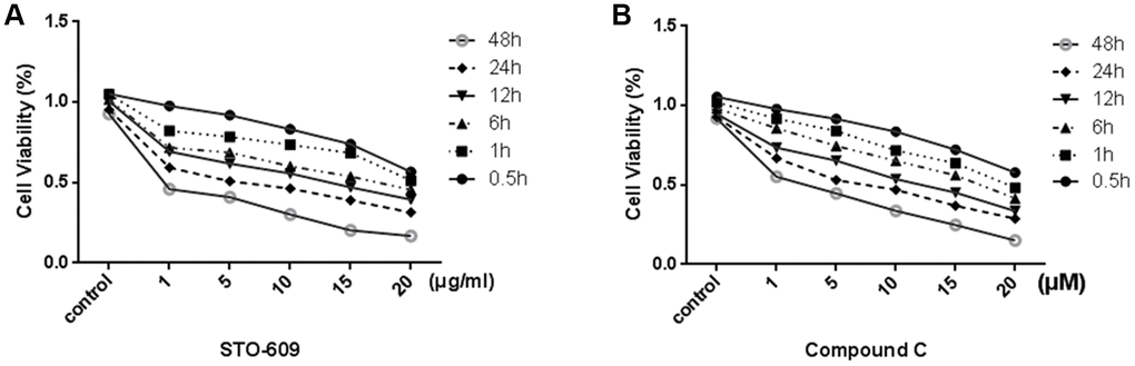 Effect of STO-609 and Compound C on Cell Viability of rLSECs. rLSECs were treated with STO-609 (0, 1, 5, 10, 15 and 20 μg/ml) and Compound C (0, 1, 5, 10, 15 and 20 μM) for 0.5, 1, 6, 12, 24 or 48 h, respectively. Cell viability was determined by MTT test. All data is expressed as mean ± SD. PA) The effect of STO-609 on rLSEC viability (control is untreated group). (B) The effect of STO-609 on rLSEC viability (control is untreated group). All data is expressed as mean ± SD. from three independent experiments. P 