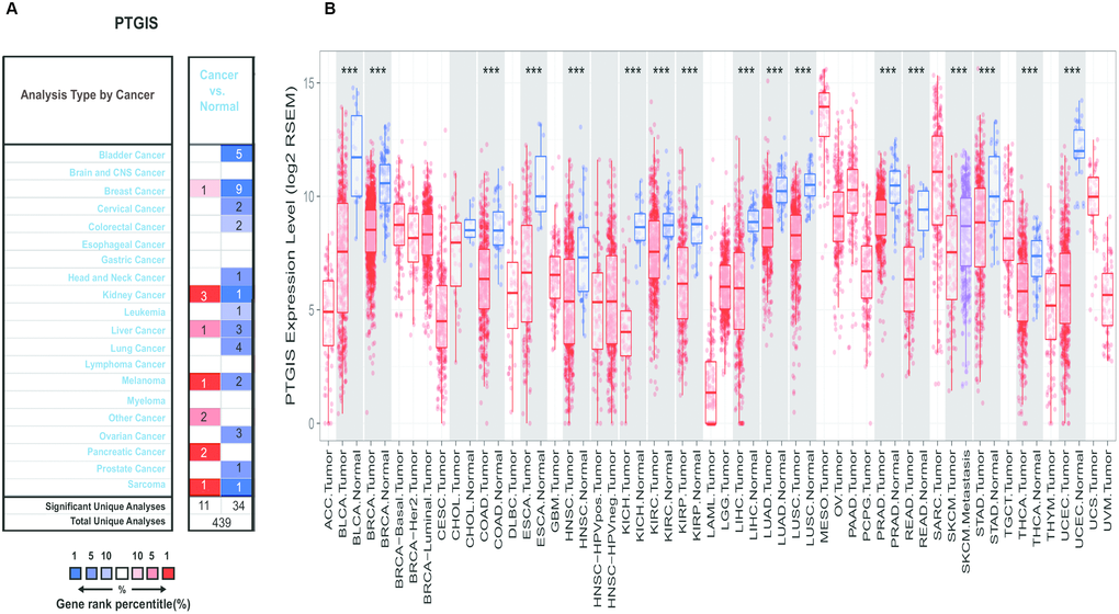 Expression of PTGIS in various human tumors. (A) Increased or decreased expression of PTGIS in different tumors compared to normal tissues in the Oncomine database. (B) PTGIS expression of different tumor types from the TCGA database was investigated by TIMER (*P 