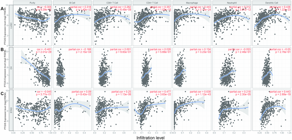 Correlation of PTGIS expression with immune infiltration level in LUSC (lung squamous cell carcinoma), OV (ovarian serous cystadenocarcinoma) and STAD (stomach adenocarcinoma). (A) PTGIS expression was significantly negatively related to tumor purity and had significant positive correlations with the levels of infiltrating B cells, CD8+ T cells, CD4+ T cells, macrophages, neutrophils, and dendritic cells in LUSC (n = 496). (B) PTGIS expression was significantly negatively related to tumor purity and the levels of infiltrating B cells but has no significant correlations with the levels of infiltrating CD8+ T cells, CD4+ T cells, neutrophils, and dendritic cells in OV. PTGIS expression showed a very weak positive correlation with macrophage infiltration in OV (n = 537). (C) PTGIS expression had no significant correlations with tumor purity and the levels of infiltrating B cells but had significant positive correlations with the levels of infiltrating CD8+ T cells, CD4+ T cells, macrophages, neutrophils, and dendritic cells in STAD (n= 407).