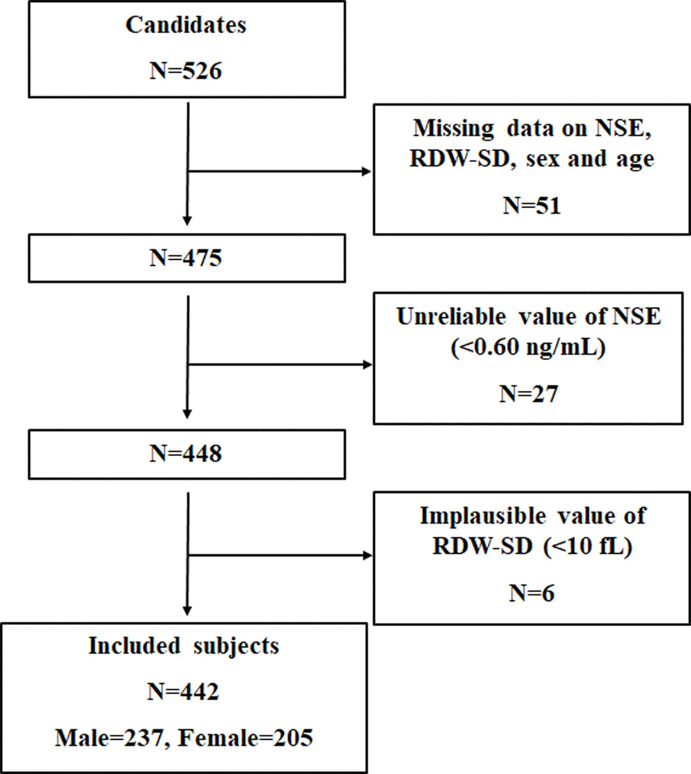 Flowchart of the study.