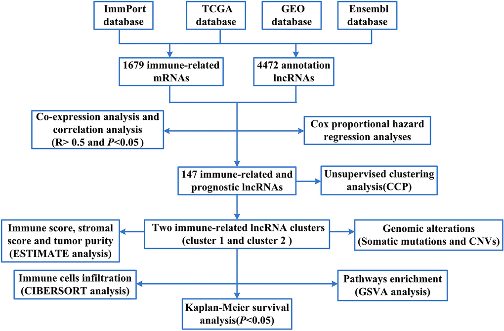 The flow chart of this study.