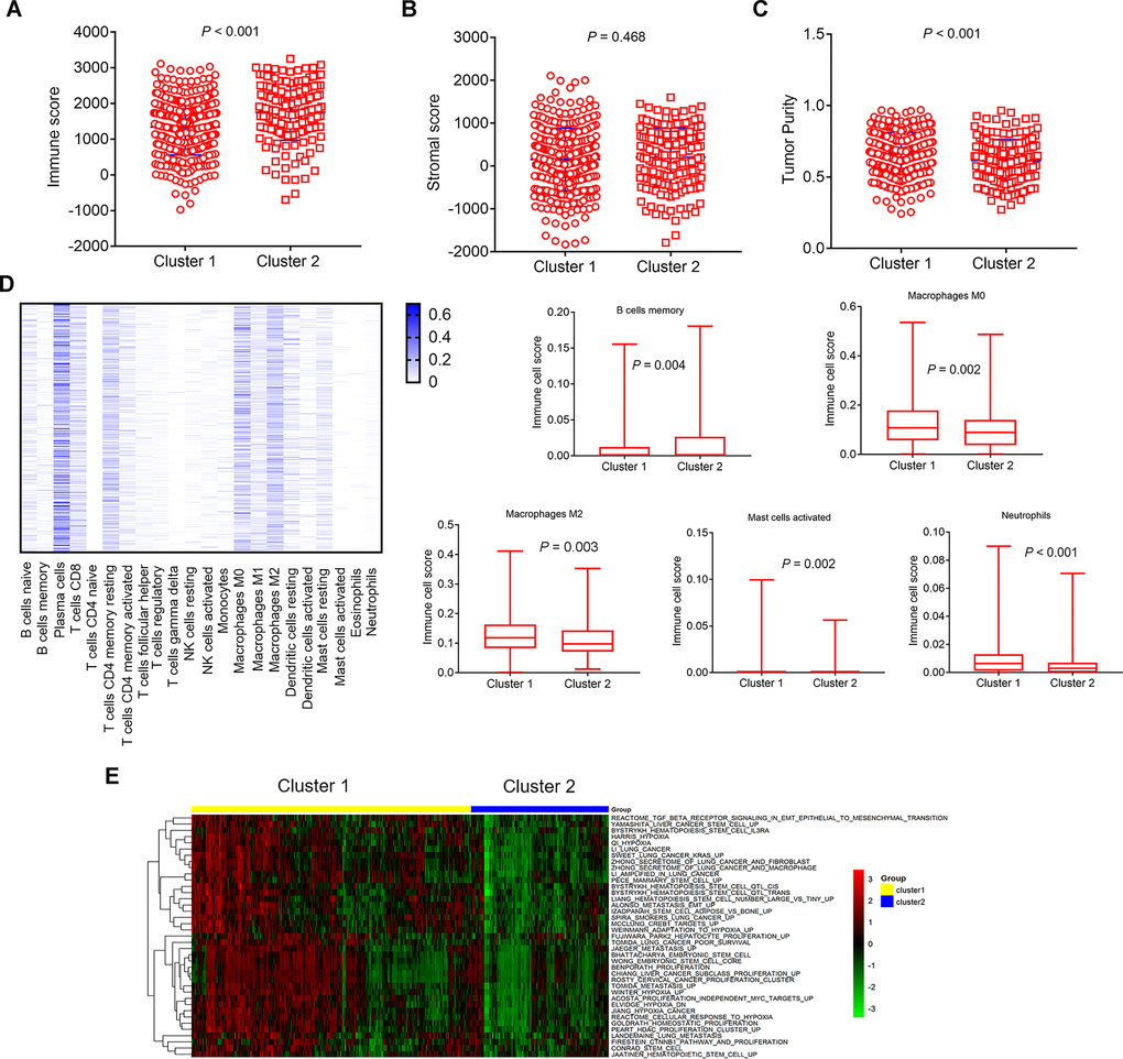 Comparison of composition and immune cells infiltration of the tumor immune microenvironment in LUAD samples and GSVA pathways analysis with differential enrichment. (A–C) Comparison of composition of TME (immune score, stromal score, and tumor purity) between cluster 1 and cluster 2. (D, left) Heat map represents the relative levels comparison of different immune cell types. The darker the blue, the higher the expression. (D, right) Comparison of immune cells infiltration (Macrophages M0, Macrophages M2, Mast cells activated, Neutrophils, B cells memory). (E) Heat map represents the the changes of related pathways in cluster 1 and cluster 2. The color changes from green to red, indicating an increase in the value of the enriched score. Yellow represents cluster 1 and blue represents cluster 2. TME: tumor microenvironment; GSVA: Gene Set Variation Analysis.