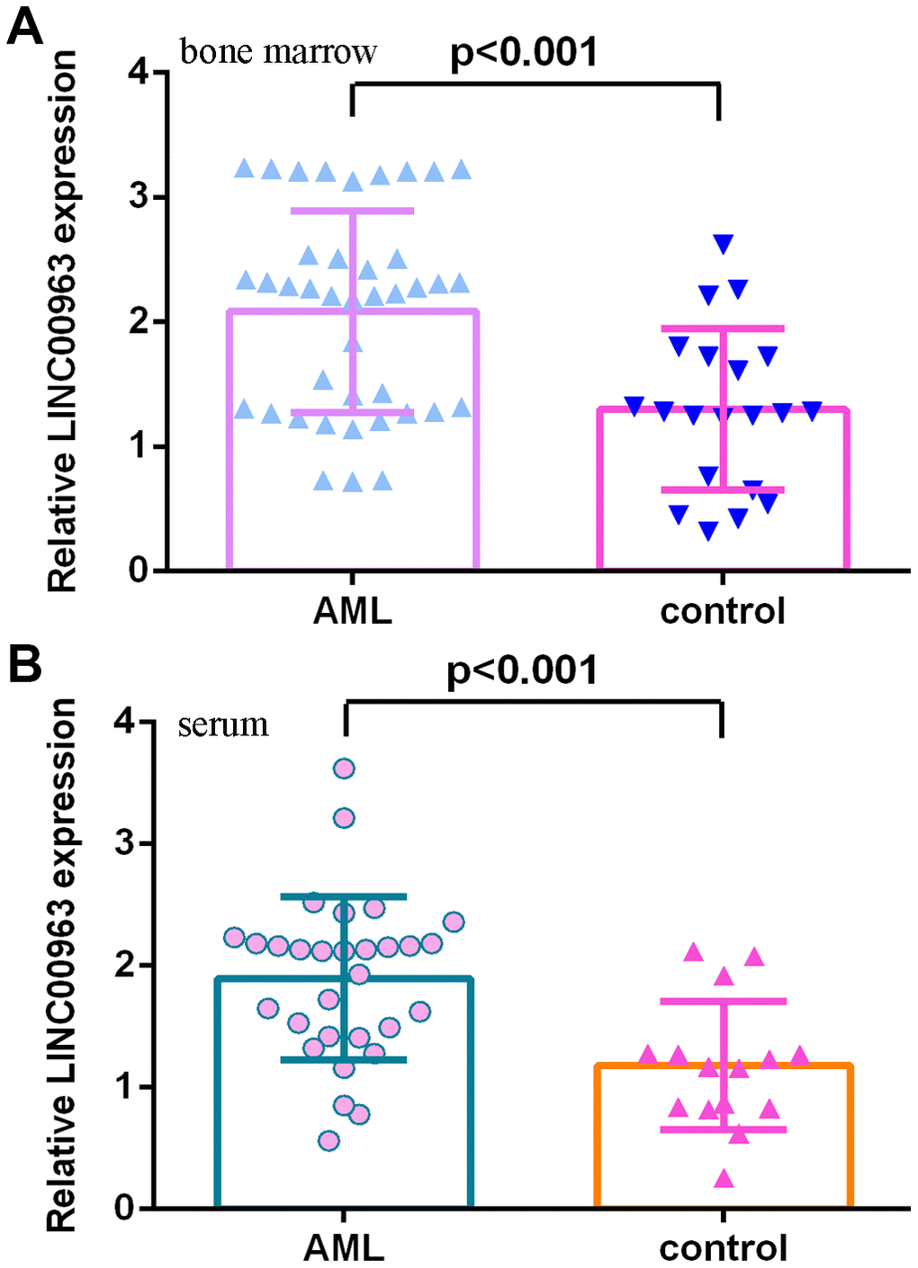 LINC00963 level in AML specimens. (A) LINC00963 levels were higher in the bone marrow of AML cases than in controls. (B) The expression of LINC00963 in the serum of AML cases and controls was measured by RT-qPCR. GAPDH was used as the internal control.