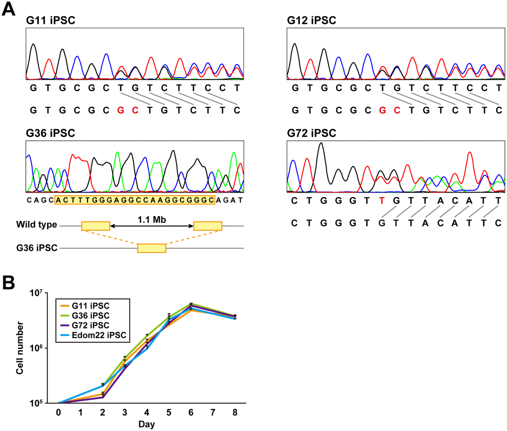 Genomic analysis and cell proliferation assays of Gln-iPSCs. (A) Sequence analysis of the PTCH1 gene in Gln-iPSCs. G36 iPSCs contained a ~1.1-Mb deletion with 22-bp overlap (yellow box) which is identical to the parental fibroblast. (B) Growth curves of Gln-iPSCs. Cell numbers of Gln-iPSCs (G11, G36, G72) and Edom22-iPSCs (control iPSCs) were counted at the indicated days after cells (1.0 x 105 cells/dish) were seeded on vitronectin-coated 6-well plates.