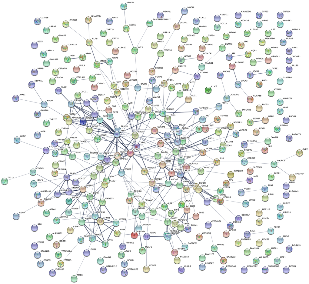 Protein-protein interactions. PPI network constructed using STRING and illustrating the interactions among DEGs.