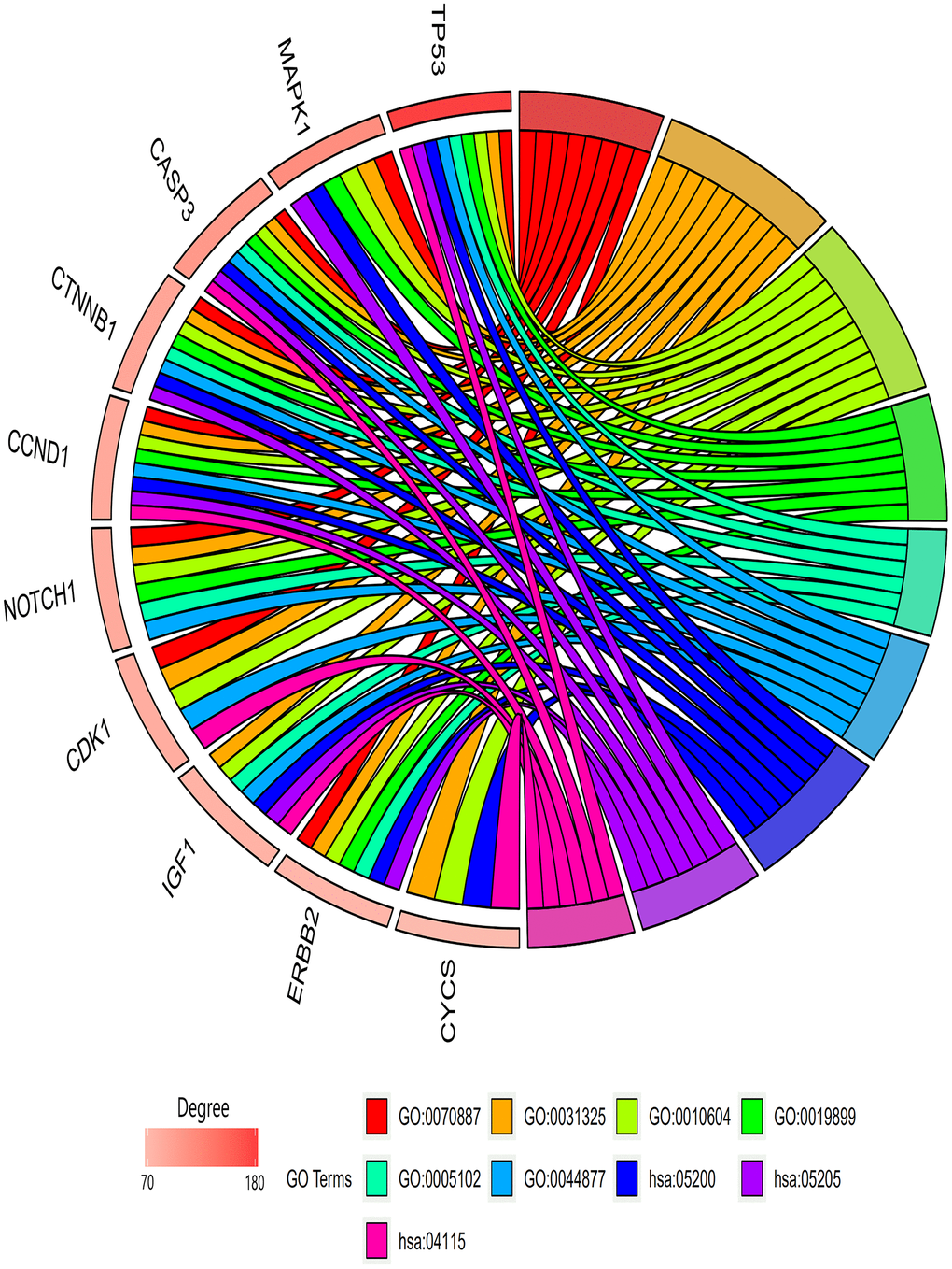 GO terms/KEGG pathways associated with top 10 enriched hub genes. Biological process module: GO:0070887, cellular response to chemical stimulus; GO:0031325, positive regulation of cellular metabolic process; GO:0010604, positive regulation of macromolecule metabolic process. Molecular functions module: GO:0019899, enzyme binding; GO:0005102, receptor binding; GO:0044877, macromolecular complex binding. KEGG pathway module: hsa05200, cancer pathway; hsa05205, proteoglycans in cancer pathway; hsa04115, p53 signaling pathway.