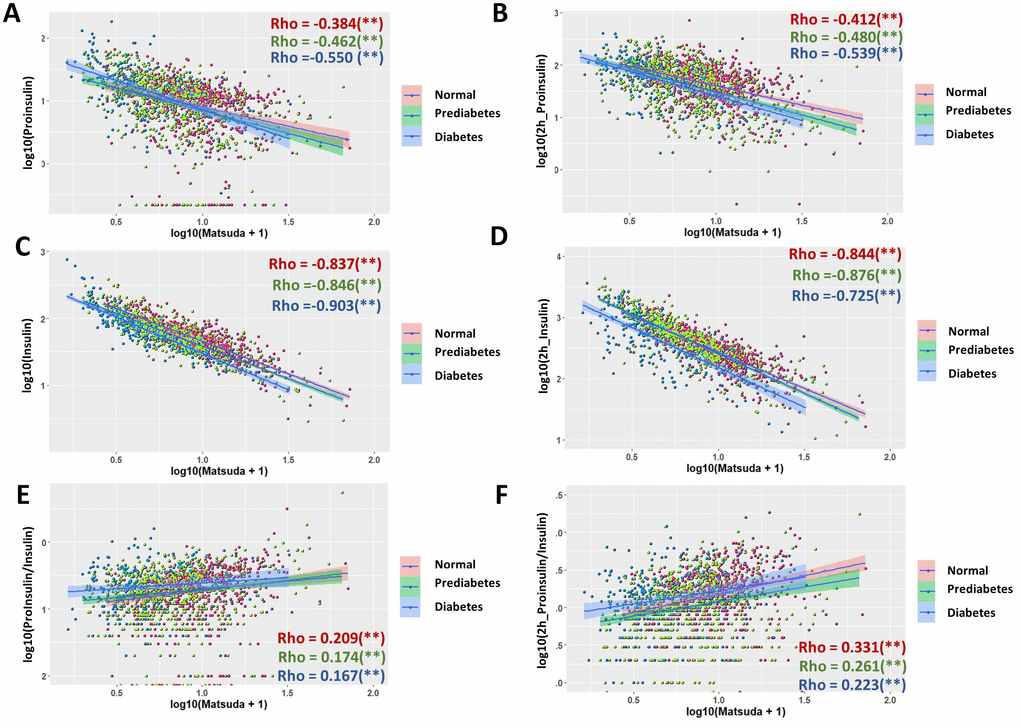 Association of proinsulin, insulin levels and proinsulin to insulin (P/I) ratio with Matsuda Index in normal, prediabetic and diabetic groups. (A) Negative association of fasting proinsulin levels with Matsuda Index in all subgroups with moderate strength. Data from 1579 participants were log transformed, scatter plotted and linear modeled by using R language for each subgroup (normal in red, prediabetes in green and diabetes in blue). Association strength was evaluated by Spearman's association coefficient (Rho) using SPSS software. Shaded line, linear regression with 95% of confidence interval (CI). (B) Glucose-stimulated proinsulin levels were negatively associated with Matsuda index in all subgroups. (C) Fasting insulin levels were strongly associated with Matsuda index in all subgroups. (D) Glucose-stimulated insulin levels were strongly associated with Matsuda index in all subgroups. (E) Fasting P/I ratio was much weaker than proinsulin and insulin levels in association with Matsuda index in all subgroups. (F) Glucose-stimulated P/I ratio was much weaker than proinsulin and insulin levels in association with Matsuda index in all subgroups.