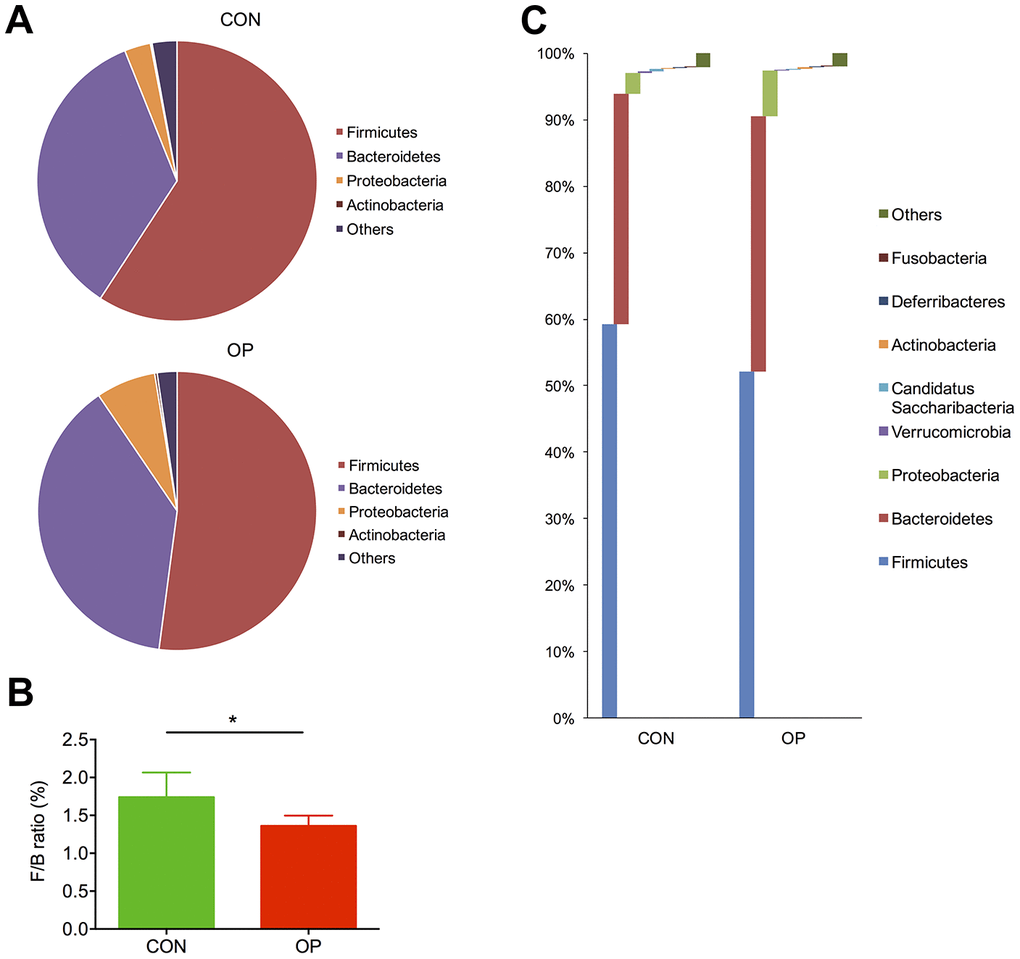 Differences of taxonomy in phylum level between samples of the control group and senile osteoporosis group. Annotation of phylum level for the most four abundant species determined by identified 16S rRNA sequences (A). F/B ratio difference between both groups (B). Comparison of content difference in phylum level for all species (C).