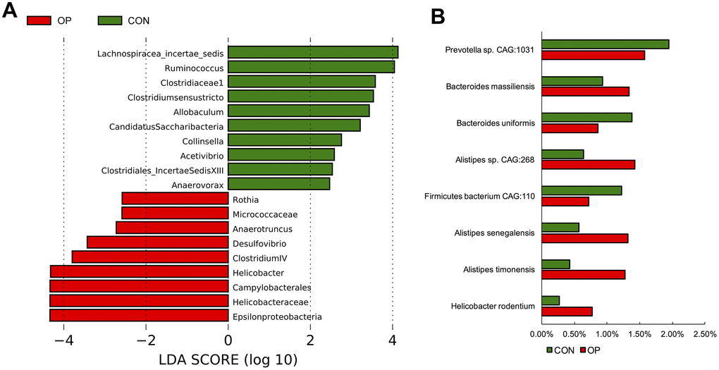 LDA Effect Size at the phylum level of the each group (A). The significant differences of species abundance between both groups at species level (B).