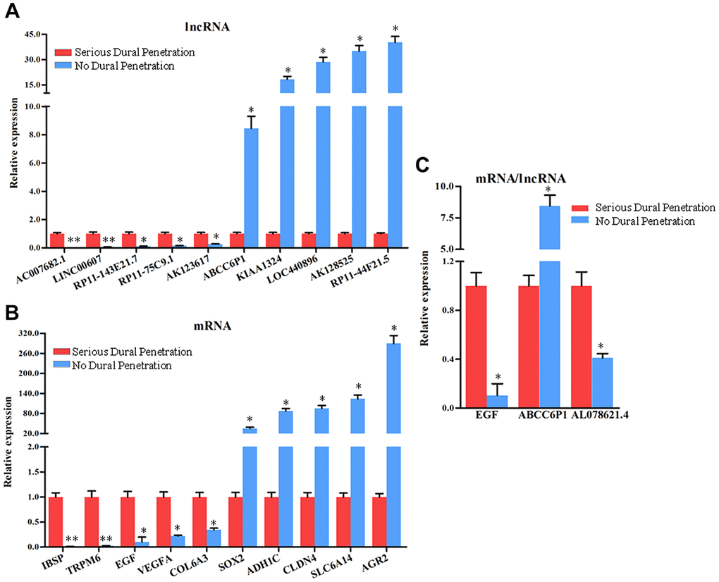 The expression analysis of the lncRNAs and mRNAs in chordoma tissues with serious dural penetration and without dural penetration. The expression level of (A) 5 down-regulated lncRNAs and 5 up-regulated lncRNAs, (B) 5 down-regulated mRNAs and 5 up-regulated mRNAs, (C) EGF mRNA and ABCC6P1, AL078621.4 lncRNAs were analyzed using qRT-PCR, with the GAPDH gene as an internal control. Error bars represent the standard errors of independent samples.*P