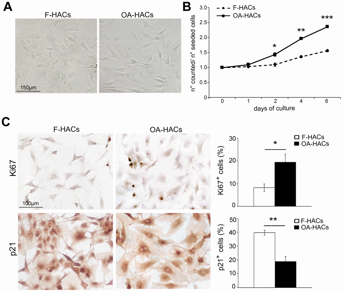 Clusterin exerts a cytoprotective and antioxidant effect in human