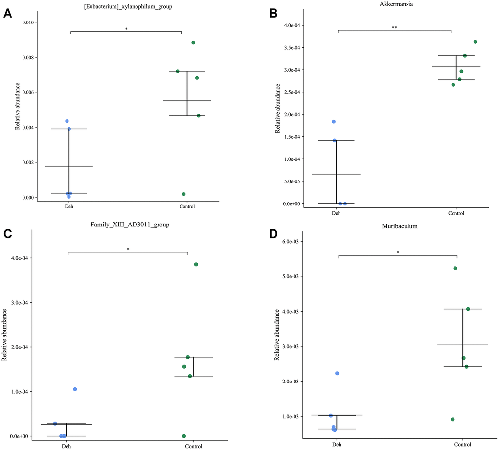 Effect of dehydroandrographolide on low abundance flora. (A–D) The levels of Family XIII AD3011 group, [Eubacterium] xylanophilum group, Akkermansia and Muribaculum in the control and Deh croups. The values are presented as the mean ± SD (*pppp