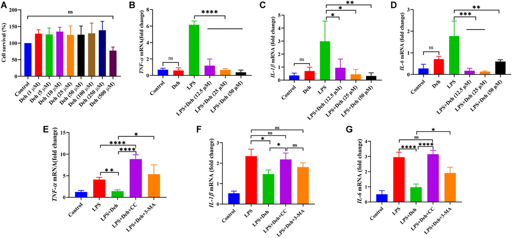 Deh inhibits the gene expression of IL-6, IL-1β and TNF-α in EpH4-Ev cells. (A) Effect of Deh on the survival of EpH4-Ev cells. (B–G) Gene expression of IL-6, IL-1β and TNF-α. The values are presented as the mean ± SD (*pppp