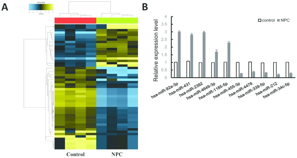 MiRNAs expression profile in NPC. (A) Heatmap of the differentially expressed miRNAs. Yellow for the up-regulated miRNAs and blue for down-regulated miRNAs. (B) QRT-PCR validation of 10 randomly selected miRNAs.