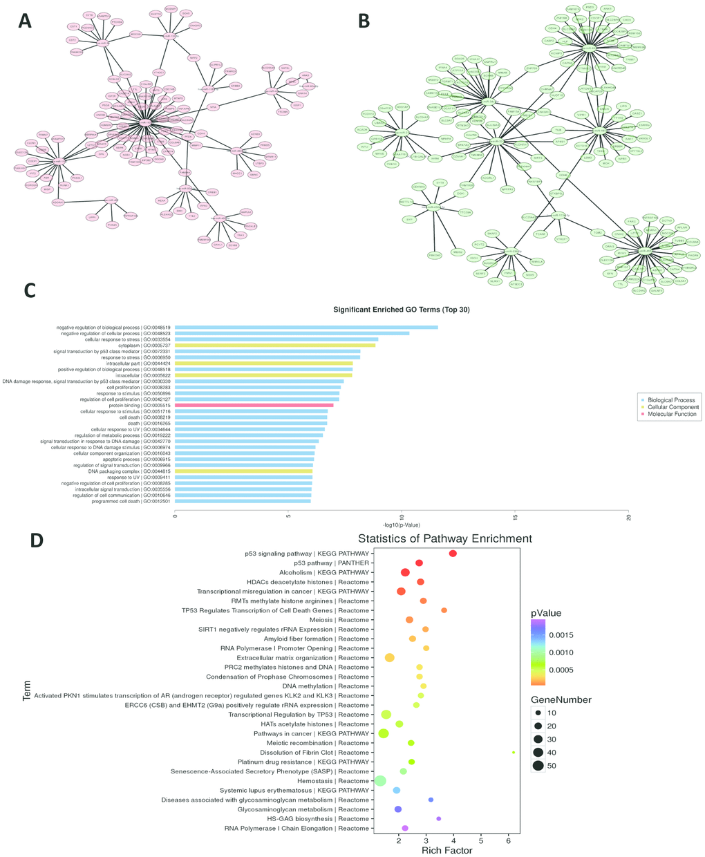 MiRNAs-mRNAs regulatory networks. (A, B) miRNAs-mRNAs network of up-/down-regulated miRNAs. (C, D) GO and pathway analyses of miR-182 target genes.