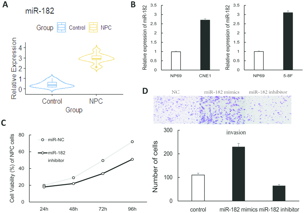 The role of miR-182 in NPC cells. (A) The violin plot shows that miR-182 was up-regulated in NPC (patient samples: n = 32; control samples: n = 20). (B) The expression of miR-182 was significantly increased in NPC cell lines (CNE1 and 5-8F). (C, D) Proliferation and invasion of NPC cells were significantly increased in miR-182 mimics group and decreased in miR-182 inhibitor group. The data presented here is the mean (SD) of triplicate replicates. P 