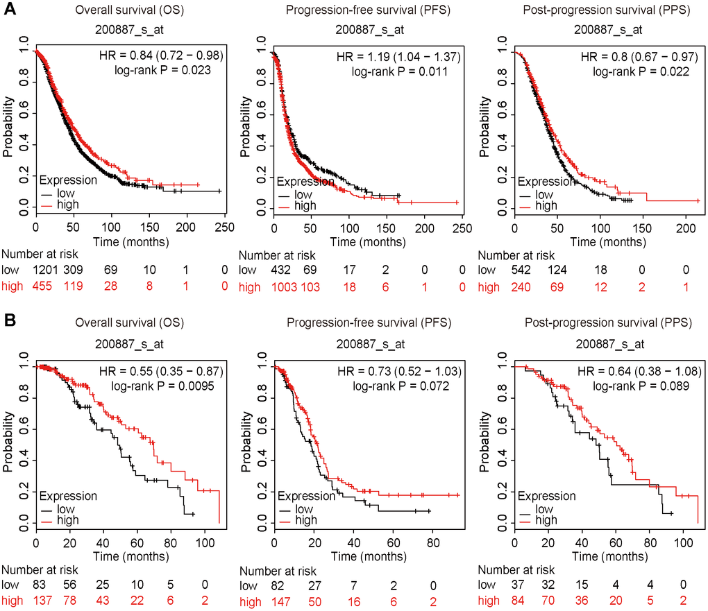 Survival plots. All patients were divided into two groups based on the expression level of STAT1: a high expression group and a low expression group. Data were extracted from a microarray (Affymetrix ID: 200887