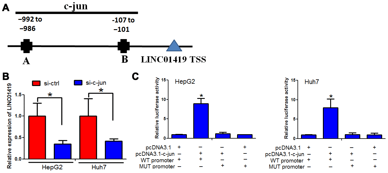 class="figure-viewer-img"