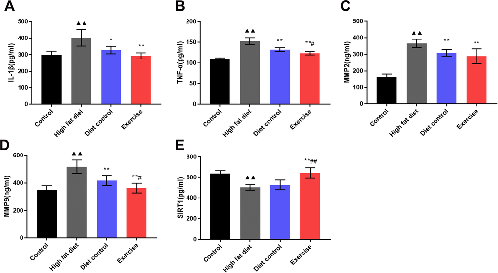 Serum IL-1β, TNFα, MMP-2, MMP-9 and SIRT1 expression. (A) The levels of IL-1β in serum. (B) The levels of TNFα in serum. (C) The levels of MMP-2 in serum. (D) The levels of MMP-9 in serum. vs control group, (E) The levels of SIRT1 in serum. ▲▲p p p #p 