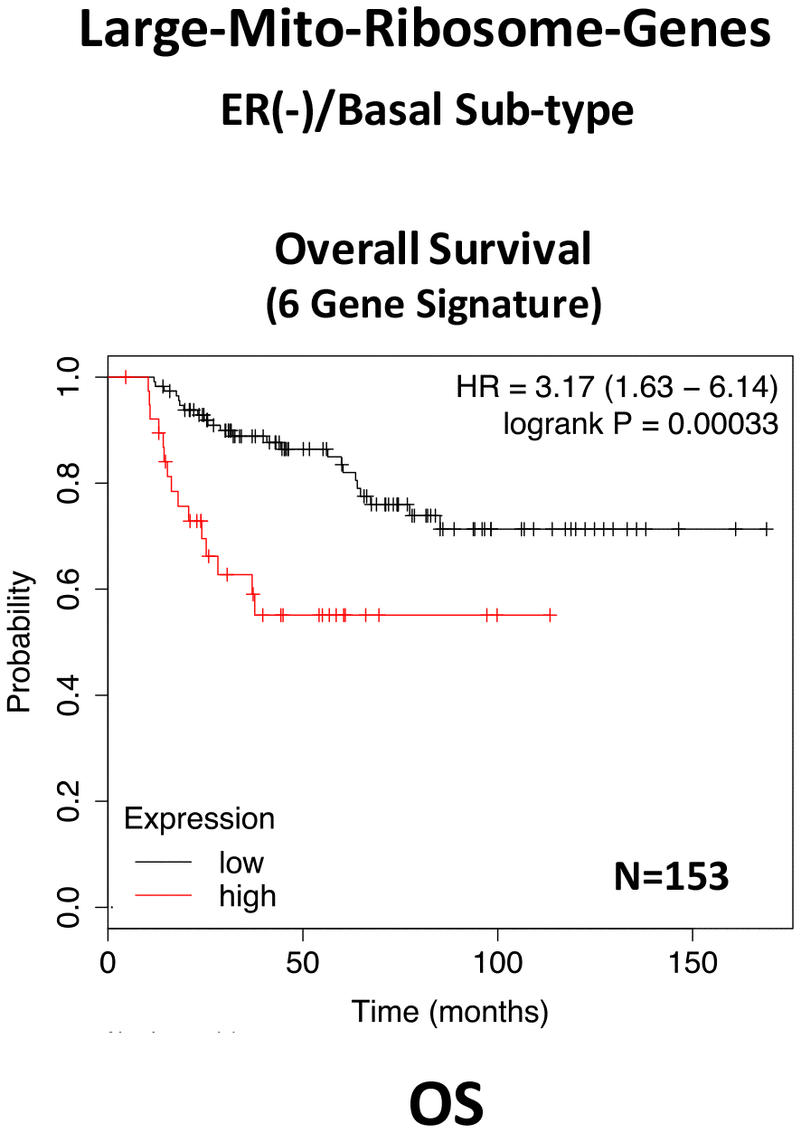 A large mito-ribosome gene signature predicts overall survival in ER(-)/basal breast cancer patients. In ER(-)/basal breast cancer, a 6-gene mito-ribosome signature was also able to effectively predict overall survival in N=153 patients (HR=3.17; P=0.00033).