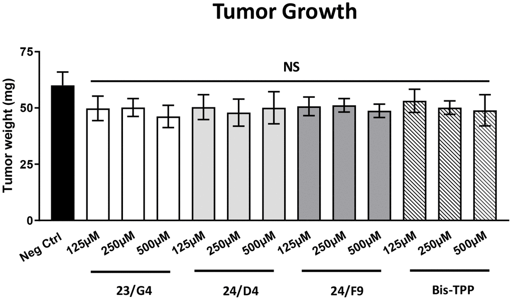 Mitochondrial inhibitors have no effect on tumor growth. MDA-MB-231 cells and the well-established chorio-allantoic membrane (CAM) assay in chicken eggs were used to quantitatively measure tumor growth. An inoculum of 1 X 106 MDA-MB-231 cells was added onto the CAM of each egg (on Day E9) and then eggs were then randomized into groups. On day E10, tumors were detectable and they were then treated daily for 8 days with vehicle alone (1% DMSO in PBS) or the four mitochondrial inhibitors. After 8 days of drug administration, on day E18 all tumors were weighed. Note that none of the mitochondrial inhibitors tested had any significant effects on tumor growth. Averages are shown + SEM. NS, not significant.