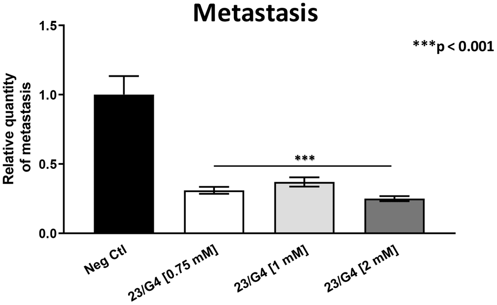 Effects of the Mitoriboscin 23/G4 on cancer metastasis. The Mitoriboscin 23/G4 was tested at higher concentrations, namely 0.75, 1 and 2 mM. Note that 23/G4, at these concentrations, significantly inhibited metastasis (by 70-75%). Interestingly, the effects of 23/G4 on metastasis were significantly more pronounced than its effects on tumor growth. Averages are shown + SEM. ***p
