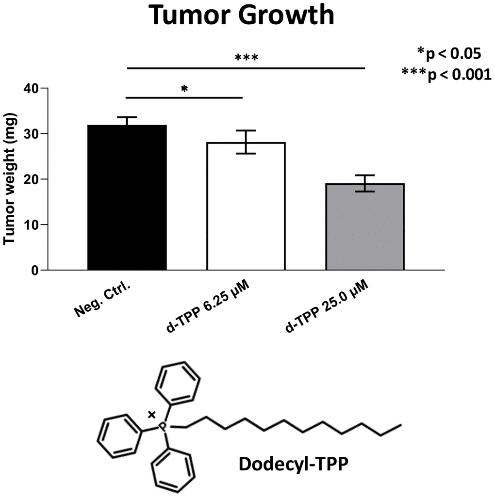 Effects of Dodecyl-TPP on tumor growth. Dodecyl-TPP, another more potent mitochondrially-targeted TPP compound, was tested using low micro-molar concentrations (6.25- and 25-μM). Note that Dodecyl-TPP significantly inhibited tumor growth (by 12% to 40%). Averages are shown + SEM. *p