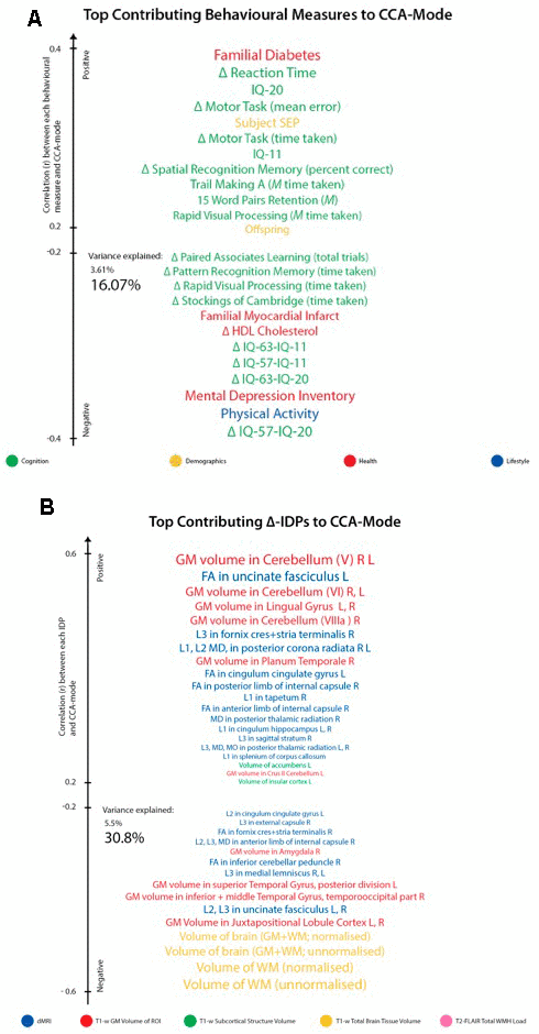 Top contributing variables to identified CCA-Mode using post-hoc correlational analyses. Individual behavioural (A) and IDP (B) measures most strongly associated with the CCA-mode of population covariation. The CCA-derived weights visualized indicate how much each measured variable contributes to the significant CCA-mode i.e., the measure of the strength of involvement of an observed variable to the CCA-mode, derived from post-hoc correlational analyses. Behavioural measures and IDPs are coloured according to their assigned subdomains. The vertical position of each variable is related to the scale of the association of that specific measure with the identified CCA-mode. Font size is indicative of variance explained by the CCA-mode. Here we do not report variables that attain a correlation value between 0.2 to -0.2. Abbreviations: Δ = longitudinal change (W-63 – W-57), M = average ((W-63 + W-57)/2), L = left, R = right, FA = fractional anisotropy, L1 = 1st eigenvalue, L2 = 2nd eigenvalue, L3, = 3rd eigenvalue, MD = mean diffusivity, MO = tensor mode.