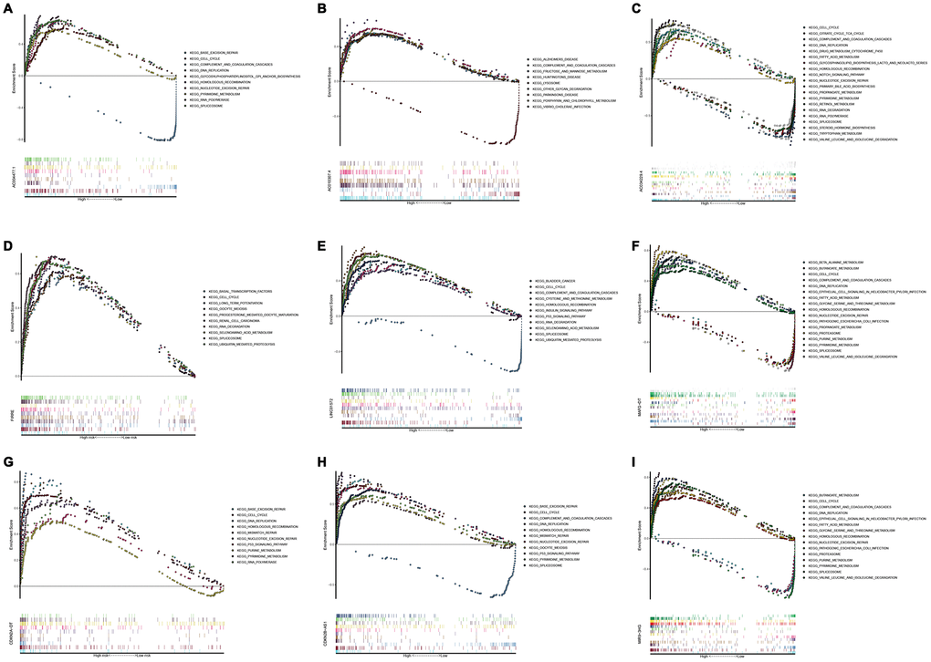 Gene set enrichment analysis of lncRNAs of recurrence related classifier. GSEA results showed in (A) AC004477.1, (B) AC010307.4, (C) AC034229.4, (D) FIRRE, (E) LINC01572, (F) MAFG−DT, (G) CDKN2A−DT, (H) CDKN2B−AS1, and (I) MIR9−3HG. GSEA, Gene set enrichment analysis.