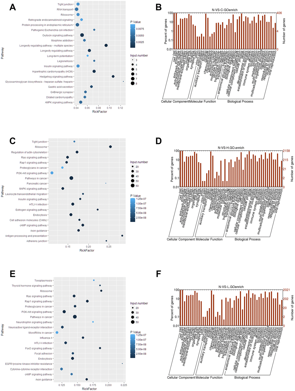 Functional analyses of significantly expressed lncRNAs. (A, C, E) KEGG pathway enrichment of the differentially expressed lncRNAs in control, hepatitis, and HCC groups. (B, D, F) GO analysis of differentially expressed lncRNAs in control, hepatitis, and HCC groups, respectively. lncRNA, long noncoding RNA; HCC, hepatocellular carcinoma.