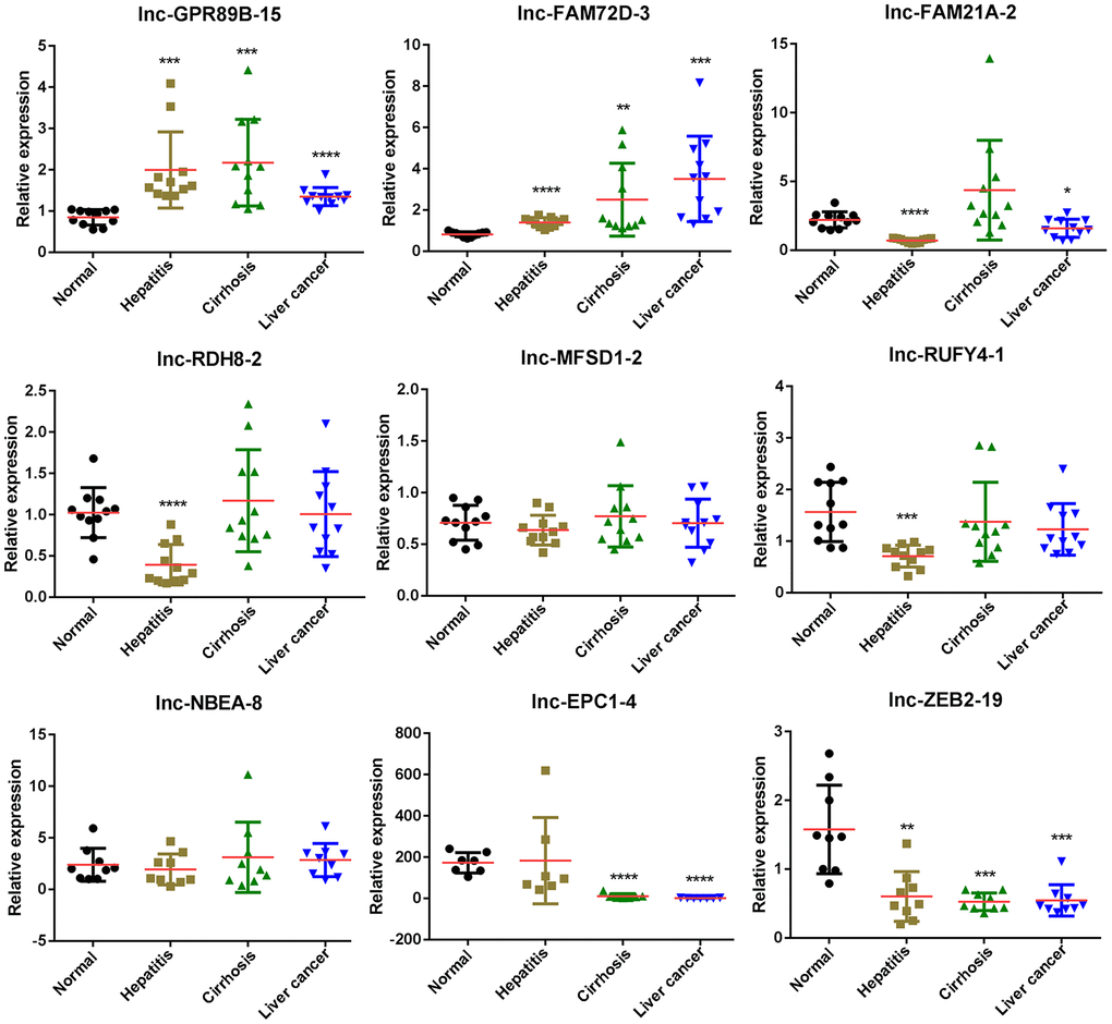 Differentially expressed lncRNAs in exosomes of control, hepatitis, cirrhosis, and HCC groups validated by real-time qPCR. lncRNA, long noncoding RNA; HCC, hepatocellular carcinoma; qPCR, quantitative polymerase chain reaction.