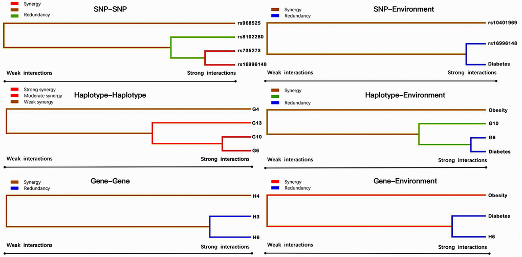 Various sorts of gene-gene and gene-environment interaction dendrograms. Elements with strong interactions appear close together, and elements with weak interactions appear distant from each other.