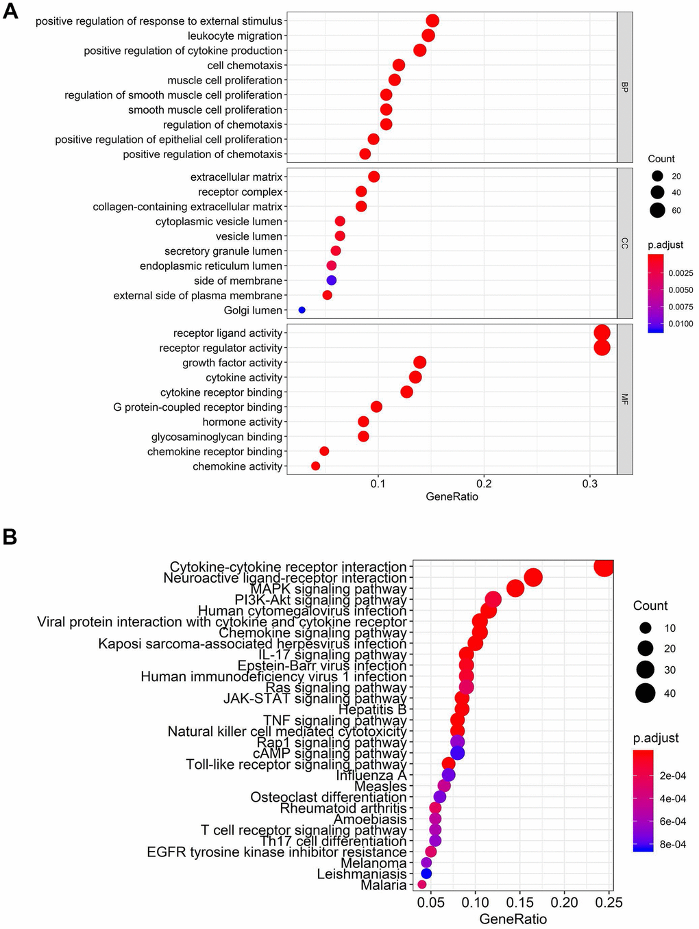 Functional enrichment analysis of differentially expressed IFRGs. The top pathways of IFRGs are shown in biological process, cellular component, molecular function (A), and KEGG pathway (B).