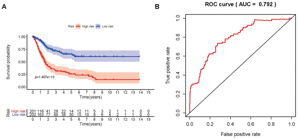 Survival curve and receiver operating characteristic (ROC) curve. The survival curve between the low-risk group and the high-risk group (A). Survival-related receiver operating characteristic (ROC) curve validation of the survival value of the risk score (B).